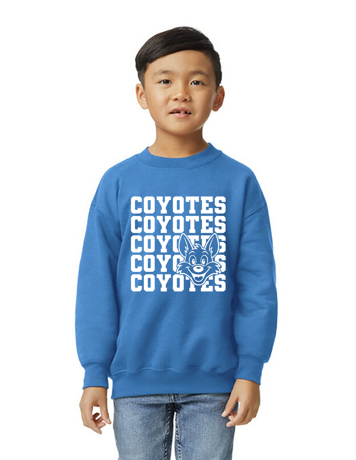 Coyote On Repeat Sweatshirt