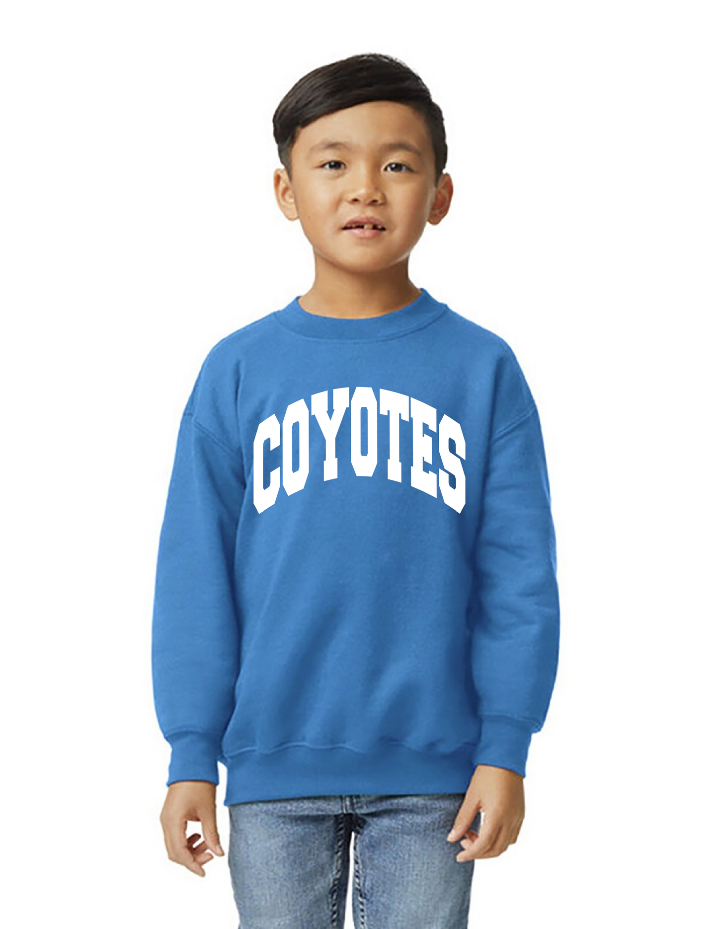 Coyotes Large Arch Sweatshirt