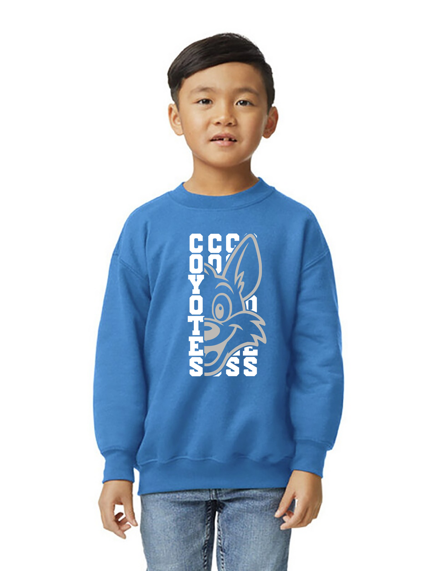 Coyote x 3 Sweatshirt